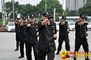 忻州市举行保安行业主题宣传周活动暨服务国庆安保誓师仪式